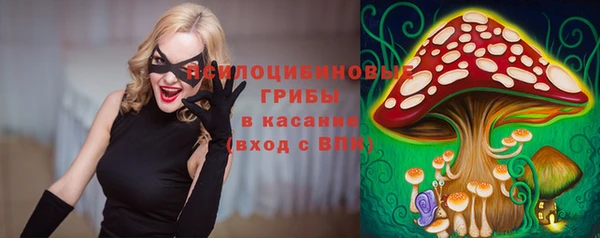 ALPHA-PVP Карталы
