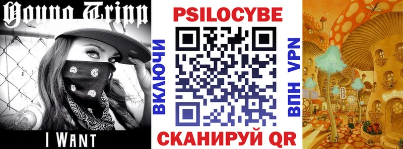 Галлюциногенные грибы GOLDEN TEACHER  блэк спрут как войти  Кашира  дарнет шоп 